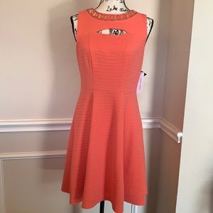 NWT Sandra Darren coral/orange sleeveless dress 6